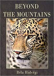 Beyond The Mountains