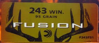 Federal 243 Win 95gr Fusion (Packet of 20)