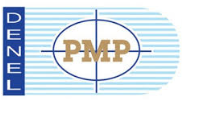 PMP 30-06 Sprg 180gr Brown Box (Packet of 20)