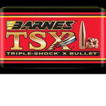 BARNES BULLETS 9.3 286GR TSX FB (36628)