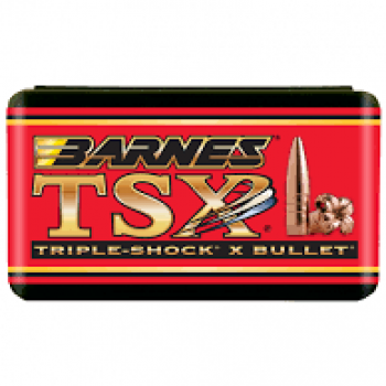 BARNES BULLETS 404 400GR TSX (30537)