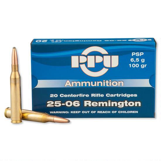 PPU 25-06 Rem 100gr PSP (Packet of 20)