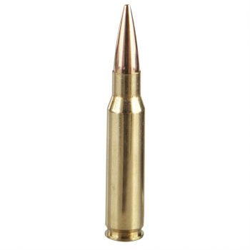 270 Winchester Short Magnum