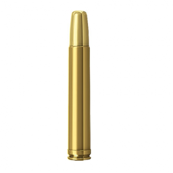 458 Winchester Magnum