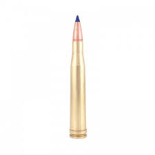 300 Holland and Holland