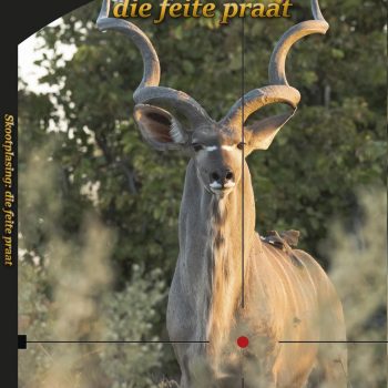 SKOOTPLASING DIE FEITE PRAAT