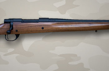 300 WM HOWA BLUE STD 24" BOYDS CLASSIC STOCK