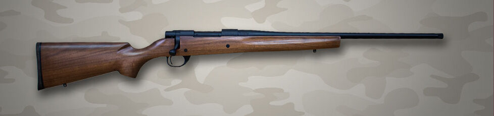 300 WM HOWA BLUE STD 24" BOYDS CLASSIC STOCK