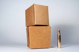PMP 223 55GR FMJBT (30) BROWN
