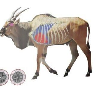 TARGET ANIMAL 1000X700 AO ELAND